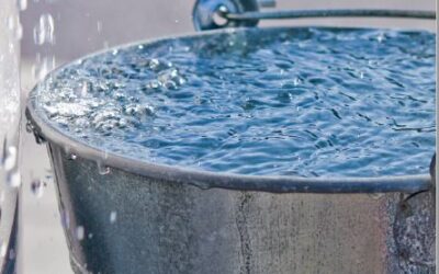 Zwischen Kontrolle und Wirtschaftlichkeit: Herausforderung Wasserpreisbildung