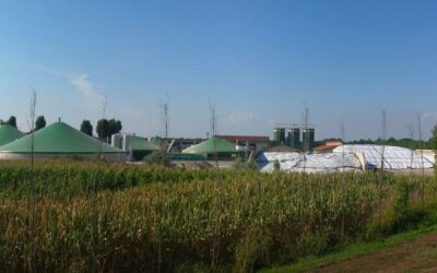 Weniger Emissionen bei der Aufbereitung von Biogas auf Erdgasqualität