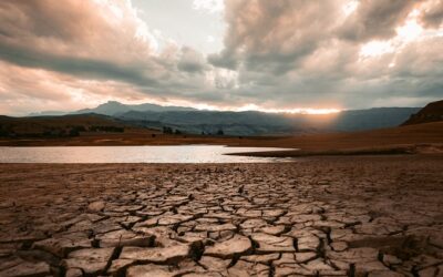 Neue Webinarreihe: “Wasserstress – Herausforderungen für die Wasserwirtschaft”