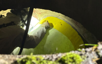 IFA-Arbeitskreis gibt grünes Licht für “Inliner” in Asbest-Kanälen