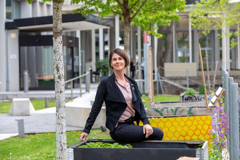 TU Graz stellt Wasserplanungstool mit Zukunftsprognosen bereit